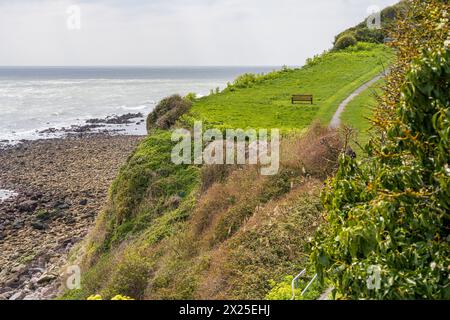 Eine Bank mit Blick auf die Kanalküste in der Nähe von Castle Cove auf der Isle of Wight, England, Großbritannien Stockfoto