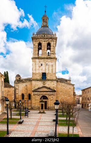 Blick auf die Kathedrale von Ciudad Rodrigo. Ciudad Rodrigo ist eine kleine Stadt in der Provinz Salamanca in Castilla y Leon, Spanien. Die Kathedrale hat vier Türen Stockfoto
