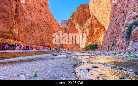 Todra Gorge (Toudgha Gorge) eine natürliche Oase am Fluss Todra. Tinghir, Marokko. Stockfoto