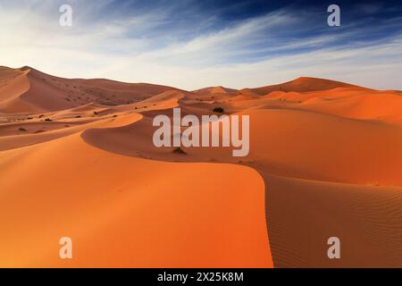 Die Sahara-Wüste, Marokko. Sanddünen Landschaft des Erg Chebbi, Merzouga. Stockfoto