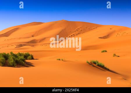 Die Sahara-Wüste, Marokko. Sanddünen Landschaft des Erg Chebbi, Merzouga. Stockfoto