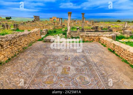 Volubilis, Marokko. Das Haus der Heldentaten des Herkules Mosaike. Stockfoto