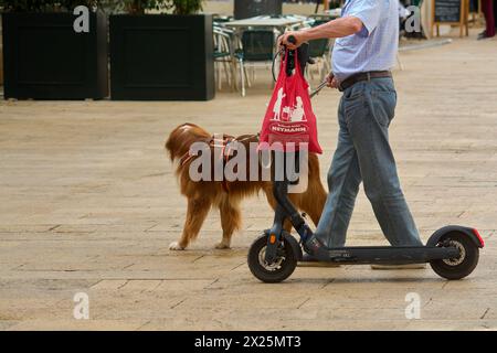 Tarragona, Spanien - 20. April 2024: Ein Mann mit roter Tasche geht mit seinem braunen Hund, während er auf einem befestigten Gelände mit einem Elektroroller fährt Stockfoto