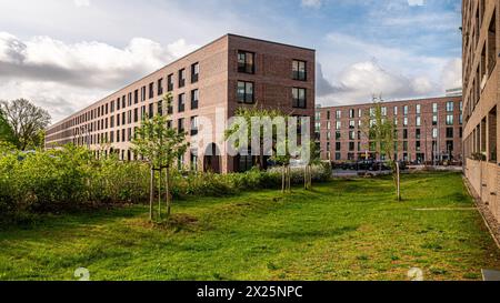 Fassaden von Neubauten im Hamburger Pergolenviertel. Bis 2023 wurden 1700 Mietwohnungen (teilweise Sozialwohnungen) errichtet Stockfoto