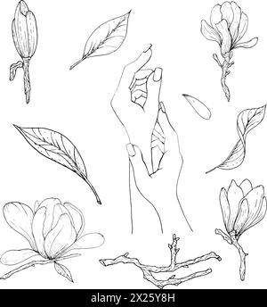 Einfarbige Blüten und Magnolienzweige und weibliche Hände, handgezeichnet. Schwarz-weiße Vektor-Illustration von Blumen, Magnolien-Zweigen und Händen. Stock Vektor