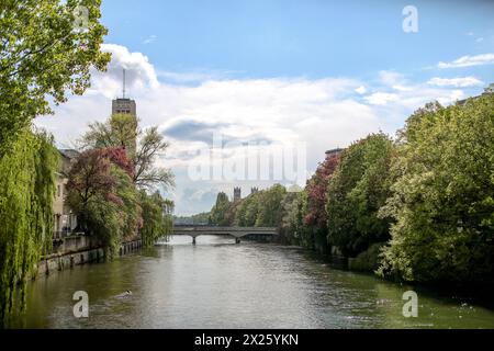 18.04.2024, München, Frühling in München. Blick auf eine Brücke die über den Fluss Isar führt. Blühende Bäume bei sonnigem Wetter. Bayern Deutschland *** 18 04 2024, München, Frühling in München Blick auf eine Brücke über die Isar blühende Bäume bei sonnigem Wetter Bayern Deutschland Stockfoto