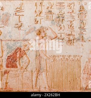 Ägypten, Thunfisch el Gebel, Grab von Petosiris, Flachsernte, Bündelung. Stockfoto