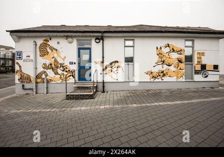 Diese attraktiven Mauern sind ein Polizeirevier mit einem Unterschied, Castletown, Isle of man. Stockfoto