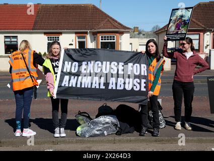 Tierschutzprotestierende außerhalb des Kurses vor dem Coral Scottish Grand National Festival auf der Ayr Racecourse. Bilddatum: Samstag, 20. April 2024. Stockfoto