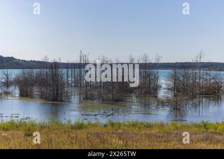 Aussichtsturm Rostiger Nagel der Sedlitzer See ist ein See in der Seenkette Lausitzer Seenland und befindet sich auf dem Gebiet des brandenburgischen Landkreises Oberspreewald-Lausitz in der Niederlausitz unmittelbar an der Grenze zu Sachsen. Senftenberg Brandenburg Deutschland *** Aussichtsturm Rostiger Nagel der Sedlitzer See ist ein See in der Lausitzer Seenandkette und liegt im brandenburgischen Stadtteil Oberspreewald Lausitz in der Niederlausitz, direkt an der Grenze zu Sachsen Senftenberg Brandenburg Deutschland Stockfoto