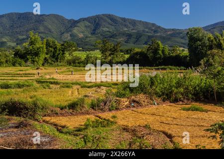 Ländliche Landschaft in der Nähe von Muang Sing, Laos Stockfoto