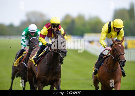 Folgaria und Hollie Doyle gewinnen die Dubai Duty Free Stakes (registriert als Fred Darling Stakes) Group 3 für Trainer Marco Botti und Eigentümer Scuderia SAGAM SRLS. Credit JTW equine Images / Alamy Live News Stockfoto