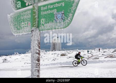 Schierke, Deutschland. April 2024. Ein Radfahrer auf dem schneebedeckten Brocken. Eine kalte Wetterfront brachte viel Schnee in die höheren Höhen des Harzes. Am Samstag können Besucher des Brocken eine winterliche Landschaft genießen. Quelle: Matthias Bein/dpa/Alamy Live News Stockfoto