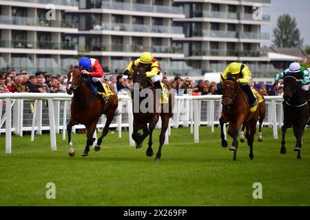 Newbury, Großbritannien. April 2024. Folgaria, geritten von Hollie Doyle (Yellow Cap), steht vor Regal Jubilee auf, geritten von Kieran Shoemark (Blue Cap), um die Dubai Duty Free Einsätze 2,05 auf der Newbury Racecourse, Großbritannien, zu gewinnen. Quelle: Paul Blake/Alamy Live News. Stockfoto