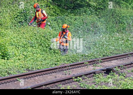 Sicherheitsrelevante Maßnahmen im Bahnbetrieb Vegetationsrückschnitt an Gleisanlagen zur Verkehrssicherung im Bahnbetrieb *** sicherheitsrelevante Maßnahmen im Bahnbetrieb Verringerung der Vegetation auf Gleisanlagen zur Verkehrssicherheit im Bahnbetrieb Stockfoto