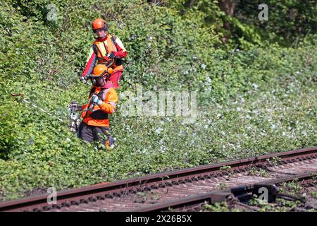 Sicherheitsrelevante Maßnahmen im Bahnbetrieb Vegetationsrückschnitt an Gleisanlagen zur Verkehrssicherung im Bahnbetrieb *** sicherheitsrelevante Maßnahmen im Bahnbetrieb Verringerung der Vegetation auf Gleisanlagen zur Verkehrssicherheit im Bahnbetrieb Stockfoto