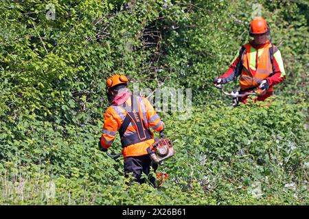 Sicherheitsrelevante Maßnahmen im Bahnbetrieb Vegetationsrückschnitt an Gleisanlagen zur Verkehrssicherung im Bahnbetrieb *** sicherheitsrelevante Maßnahmen im Bahnbetrieb Verringerung der Vegetation auf Gleisanlagen zur Verkehrssicherheit im Bahnbetrieb Stockfoto