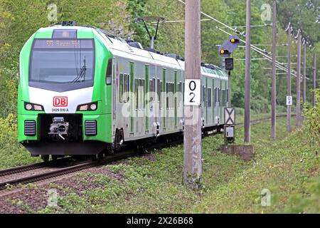 S-Bahn Rhein/Ruhr Linie S9 die S9 der DB-Regio S-Bahn Rhein/Ruhr zwischen Recklinghausen und Hagen durchfährt einen landschaftlich attraktiven Bereich im Essener Ruhrtal. Essen Nordrhein-Westfalen Deutschland *** S-Bahn Rhein-Ruhr-Linie S9 die S9 der DB Regio S Bahn Rhein Ruhr zwischen Recklinghausen und Hagen führt durch ein landschaftlich reizvolles Gebiet im ESSENS Ruhrtal Essen Nordrhein-Westfalen Deutschland Stockfoto