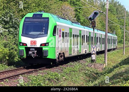 S-Bahn Rhein/Ruhr Linie S9 die S9 der DB-Regio S-Bahn Rhein/Ruhr zwischen Recklinghausen und Hagen durchfährt einen landschaftlich attraktiven Bereich im Essener Ruhrtal. Essen Nordrhein-Westfalen Deutschland *** S-Bahn Rhein-Ruhr-Linie S9 die S9 der DB Regio S Bahn Rhein Ruhr zwischen Recklinghausen und Hagen führt durch ein landschaftlich reizvolles Gebiet im ESSENS Ruhrtal Essen Nordrhein-Westfalen Deutschland Stockfoto