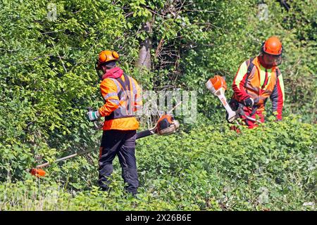 Sicherheitsrelevante Maßnahmen im Bahnbetrieb Vegetationsrückschnitt an Gleisanlagen zur Verkehrssicherung im Bahnbetrieb *** sicherheitsrelevante Maßnahmen im Bahnbetrieb Verringerung der Vegetation auf Gleisanlagen zur Verkehrssicherheit im Bahnbetrieb Stockfoto