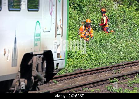 Sicherheitsrelevante Maßnahmen im Bahnbetrieb Vegetationsrückschnitt an Gleisanlagen zur Verkehrssicherung im Bahnbetrieb bei laufenden Zugfahrten. *** Sicherheitsbezogene Maßnahmen im Eisenbahnbetrieb zur Verringerung der Vegetation auf Gleissystemen, um die Verkehrssicherheit im Eisenbahnverkehr während der Fahrt zu gewährleisten Stockfoto