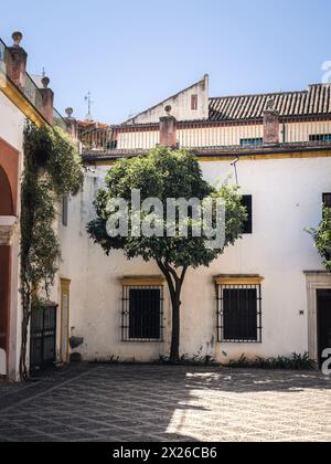 Kleiner Garten (Jardin Chico) im Inneren des Casa de Pilatos (Pilates Haus) Palastes - Sevilla, Andalusien, Spanien Stockfoto