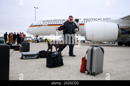 Washington, USA. April 2024. Ein Polizeibeamter mit Sprengstoff-Schnüffelhund kontrolliert das Gepäck der Delegation des deutschen Finanzministers Lindner am Flughafen Washington Dulles vor einem Flugzeug (Airbus A350) der Bundeswehr. Auf der diesjährigen Frühjahrstagung des Internationalen Währungsfonds (IWF) und der Weltbank in Washington (USA) diskutierten internationale Vertreter aus Politik und Wirtschaft unter anderem über die Entwicklung der Weltwirtschaft, Inflation und Reformpläne bei der Weltbank. Quelle: Bernd von Jutrczenka/dpa/Alamy Live News Stockfoto