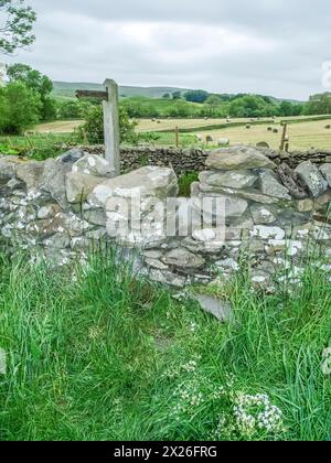 Das nennt man einen lächerlichen GAP Wall Stile auf einem öffentlichen Fußweg in den Yorkshire Dales, mit der Lücke so eng, dass man keinen Fuß hindurchschieben kann. Was du dann tun musst, ist zu versuchen, darüber zu klettern Stockfoto