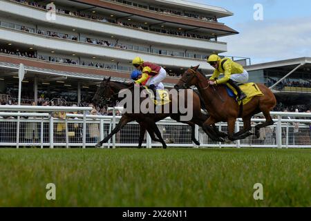 Newbury, Großbritannien. April 2024. Folgaria, geritten von Hollie Doyle (Nummer 2), steht vor Regal Jubilee, geritten von Kieran Shoemark (Blue Cap) und Elmalka (Yellow Cap nächstgelegen), geritten von James Doyle, um die Dubai Duty Free Stakes 2,05 auf der Newbury Racecourse, Großbritannien, zu gewinnen. Quelle: Paul Blake/Alamy Live News. Stockfoto