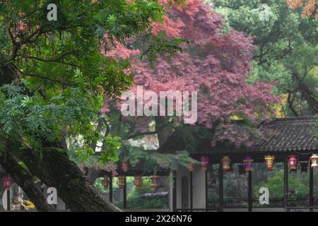 Herbstliche Landschaft des Jichang Gartens in der alten Stadt Huishan, Wuxi Stockfoto