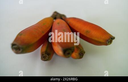 Rote Bananenfrüchte, die in einem großen Teil des brasilianischen Territoriums vorkommen Stockfoto