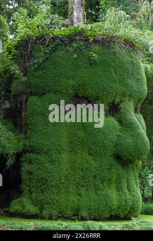 Kopf aus Pflanzen im Parc Floral et Tropical de la Court d'Aron, Saint Cyr en Talmondais, Vandee, Frankreich Stockfoto