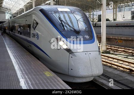 Hochgeschwindigkeitszüge, CRH am Bahnsteig, Bahnhof Hongqiao, Shanghai, China, Asien, ein weiß-blauer Hochgeschwindigkeitszug steht auf einem modernen Bahnhof Stockfoto