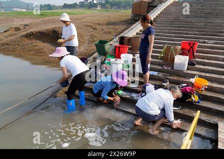 Frauen waschen Kleidung im Yangtze-Fluss, Yichang, Provinz Hubel, China, mehrere Frauen waschen Kleidung am Ufer, umgeben von ländlichen Gebieten Stockfoto