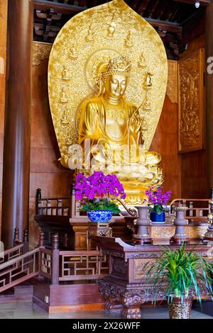 Chongqing, Provinz Chongqing, China, Asien, detaillierte goldene Buddha-Statue in meditativer Pose in einem Tempelraum Stockfoto