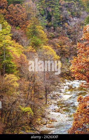 Herbstlandschaft von Huangbaiyuan in den Qinling Bergen, Provinz Shaanxi Stockfoto