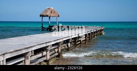 Rivera Maya Strandlandschaft Stockfoto