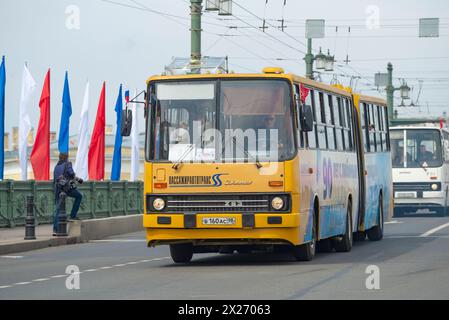 SANKT PETERSBURG, RUSSLAND - 25. MAI 2019: Ikarus-283,00 - ungarischer Gelenkbus mit extra großer Kapazität bei der Retro-Transportparade Stockfoto