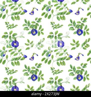 Blaue Blumen und grüne Blätter. Clitoria ternatea in voller Blüte. Nahtloses Muster der Endabzweige der asiatischen Pflanze. Schmetterling Erbsenblume. Stockfoto