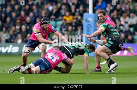 Northampton, Großbritannien. April 2024. James Ramm von Northampton Saints wird von Tommy Reffell von Leicester Tigers während des Spiels zwischen Northampton Saints und Leicester Tigers im Cinch Stadium Franklin's Gardens besiegt. Northampton Credit: PATRICK ANTHONISZ/Alamy Live News Stockfoto