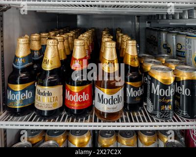 Sechs verschiedene Arten von Modelo Bier in einem gekühlten Kühlschrank in Puerto Vallarta Mexiko. Stockfoto