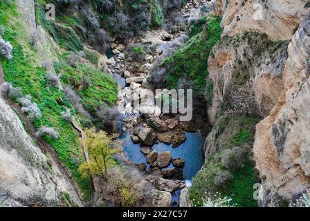 Blick von der Puerte Nuevo Brücke in den El Tajo Canyon und den Guadalevin Fluss in Ernest Hemingways Ronda in Andalusien in Südspanien Stockfoto