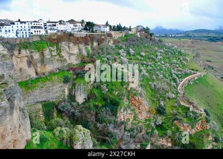 Häuser am Rande des El Tajo Canyon in Ernest Hemingways Ronda in Spanien. Stockfoto