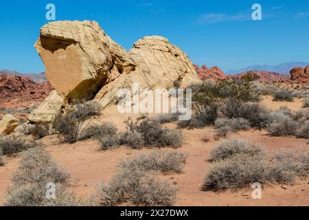 Valley of Fire, Nevada.  Geologische Kräfte; Stein zerbrechen.  Weißen Kuppeln Trail. Stockfoto