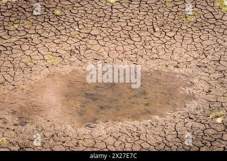 Trockenes Flussbett mit kleiner Pfütze und zerrissenem Boden, Klimaerwärmung und Dürrekonzept. Stockfoto