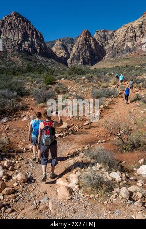 Red Rock Canyon, Nevada.  Wanderer auf Pine Creek Canyon Trail.  Mescalito Berg (mit roter Spitze) im Zentrum Hintergrund. Stockfoto