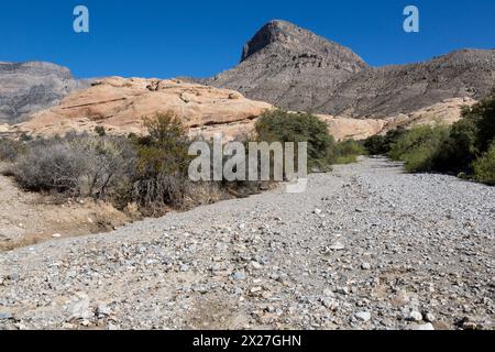 Red Rock Canyon, Nevada.  Weg zum Calico Tanks steigt ein Wash  Turtlehead Peak im Hintergrund. Stockfoto