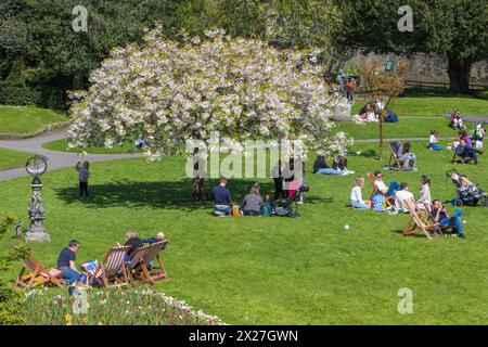 Bath, UK. April 2024. Besucher von Bath's Parade Gardens können die warme Nachmittagssonne genießen. Quelle: Lynchpics/Alamy Live News Stockfoto