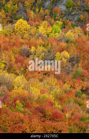 Herbstfarbe auf dem Hügel von Arrow Town in der Region Otago auf Neuseelands Südinsel. Stockfoto