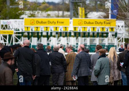 Die Zuschauer in Newbury beobachten die Läufer im Parade Ring am Spring Trials Samstag, den 20. April 2024. Stockfoto